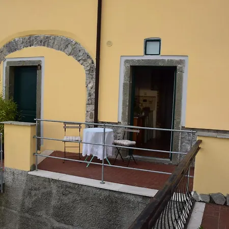 Il Riccio Tra I Castagni *
