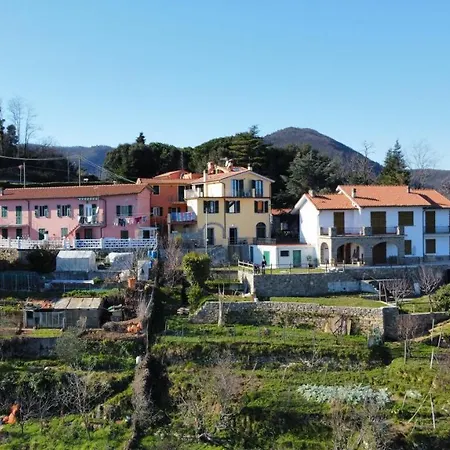 Πανσιόν Il Riccio Tra I Castagni